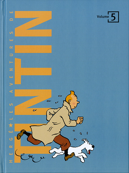 Puzzle - Tintin et le temple du soleil - Association ALLÉE - Agissons en  Laïcité pour des Loisirs ludiques et Éducatifs Ensemble